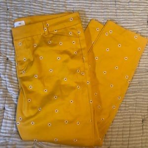 Pixie pants with flowers